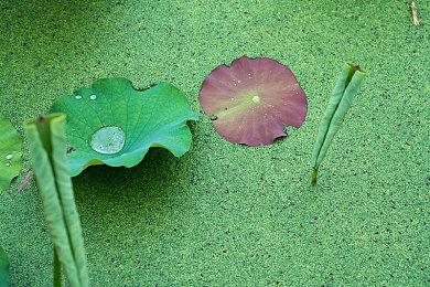  Switch 2卖一代机名作升级版引热议 玩家惊叹任天堂新营销法